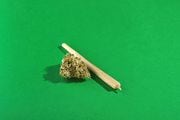 A king size joint lies next to dry marijuana buds on a green background.